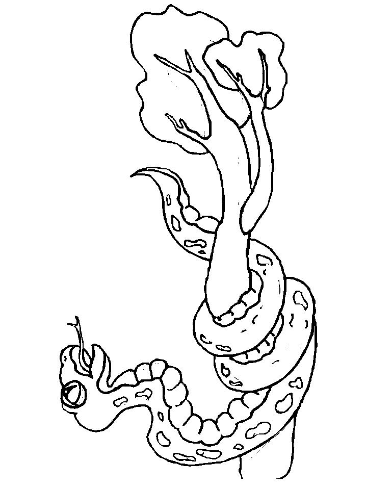 Animale serpi de colorat p18
