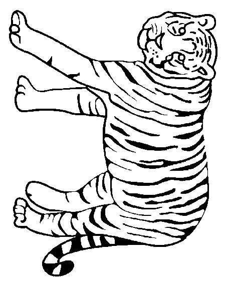 Animale tigri de colorat p26