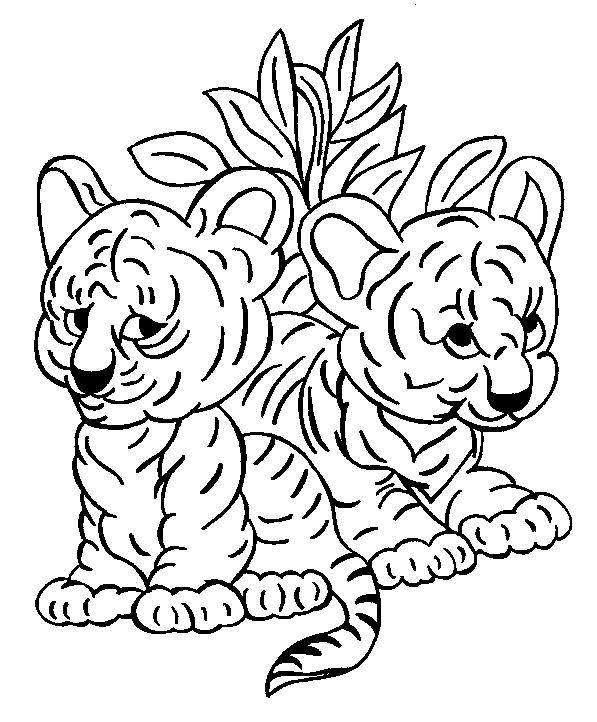 Animale tigri de colorat p33