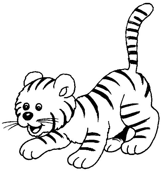 Animale tigri de colorat p34