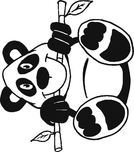 Animale ursi panda de colorat p03