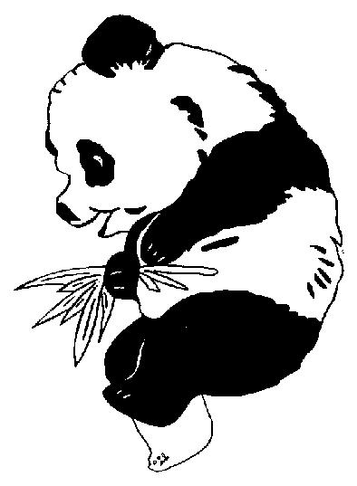 Animale ursi panda de colorat p04