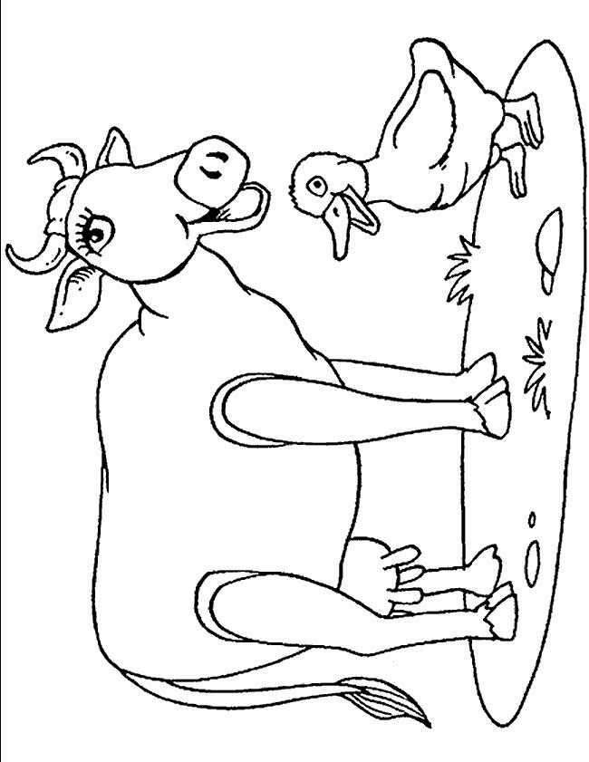 Animale vaci de colorat p07