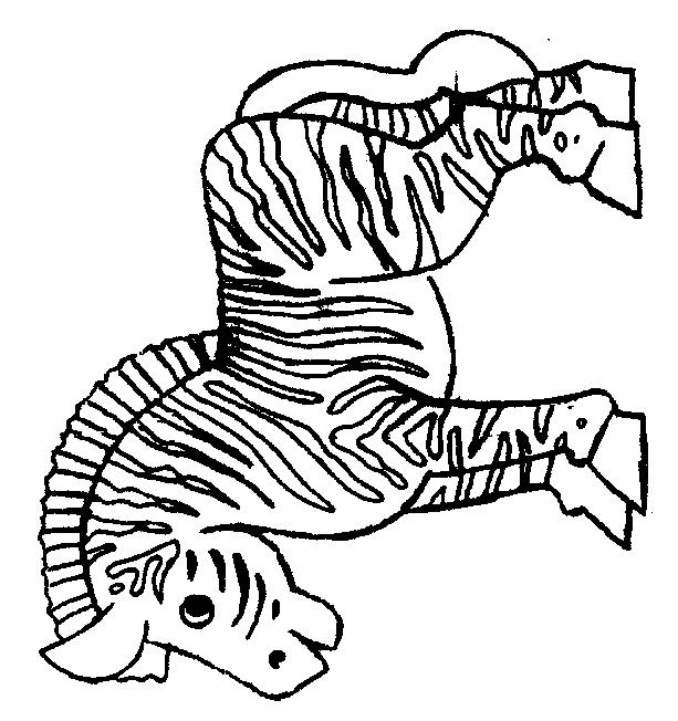Animale zebre de colorat p05