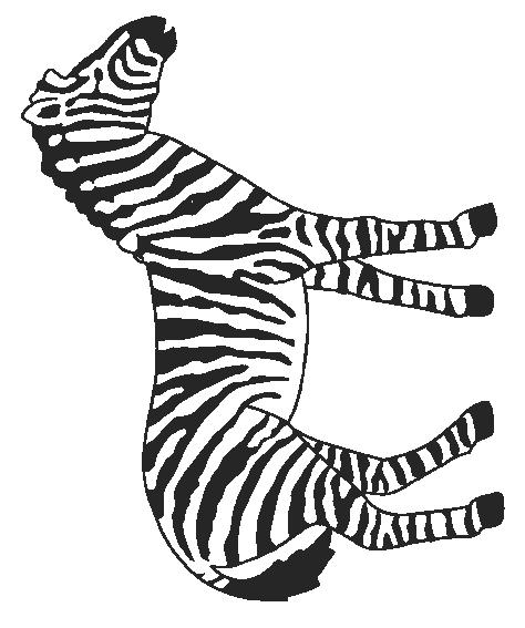 Animale zebre de colorat p11