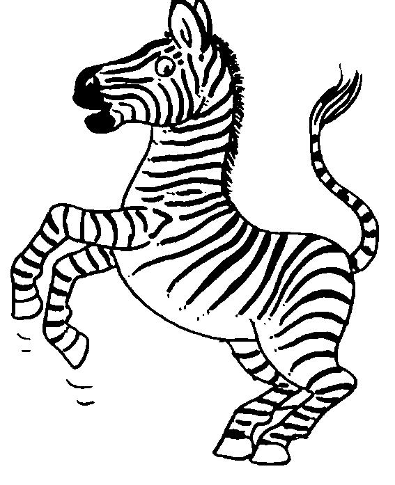 Animale zebre de colorat p13