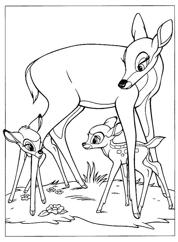 Bambi de colorat p04