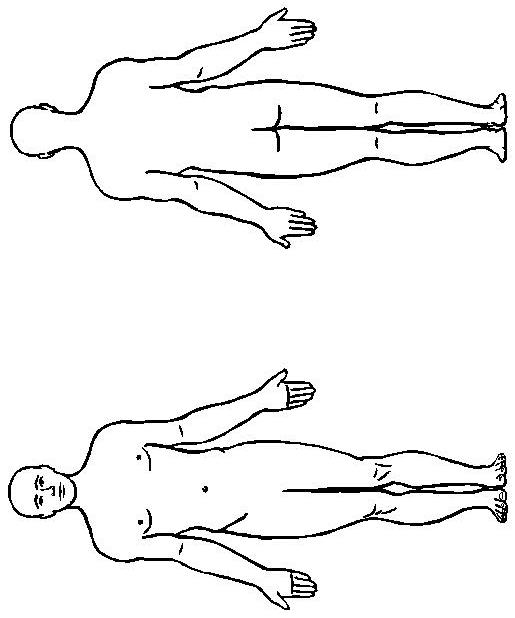 Corpul uman desen