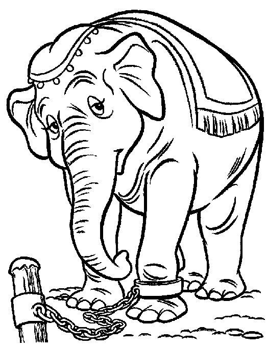 Dumbo de colorat p08