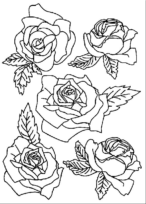 Planse De Colorat Cu Flori Trandafiri Desene De Colorat Cu Flori Trandafiri Flori Trandafiri De Colorat