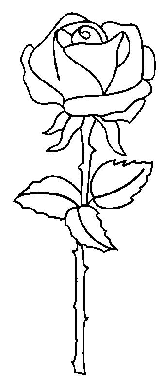 Desene De Colorat Cu Trandafiri