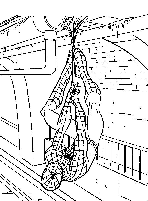 Spiderman de colorat p29