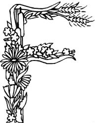 plansa de colorat alfabetul #16