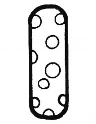 plansa de colorat alfabetul #9