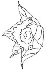 plansa de colorat animale #15