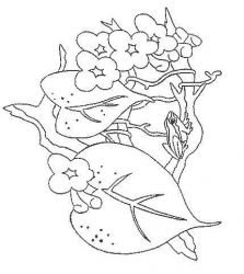 plansa de colorat animale #1