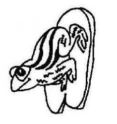 plansa de colorat animale #6