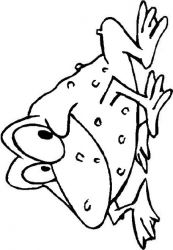 plansa de colorat animale #7