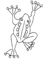 plansa de colorat animale #15