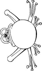 plansa de colorat animale #17