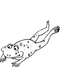 plansa de colorat animale #21