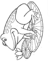 plansa de colorat animale #8