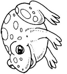 plansa de colorat animale #13