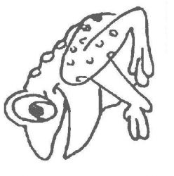 plansa de colorat animale #5