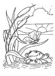 plansa de colorat animale #12