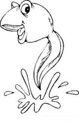 plansa de colorat animale #19