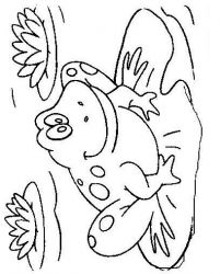 plansa de colorat animale #21