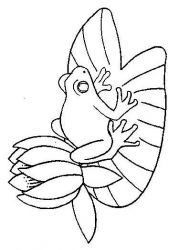 plansa de colorat animale #3