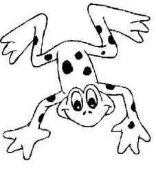 plansa de colorat animale #8