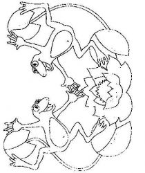 plansa de colorat animale #9