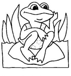 plansa de colorat animale #10