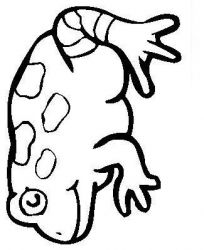 plansa de colorat animale #18