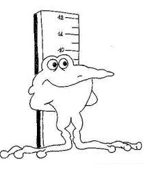 plansa de colorat animale #19