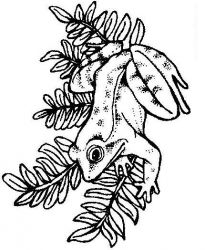 plansa de colorat animale #20