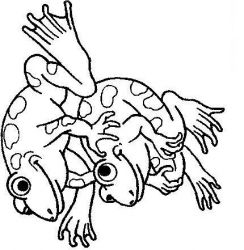 plansa de colorat animale #2