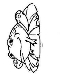 plansa de colorat animale #13