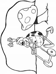 plansa de colorat animale buburuze #7