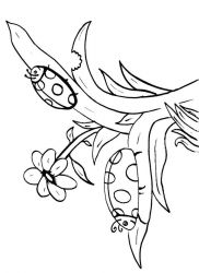 plansa de colorat animale buburuze #9