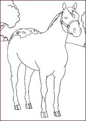 plansa de colorat animale #6