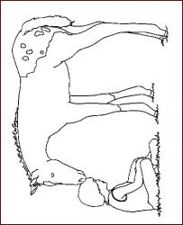 plansa de colorat animale #21