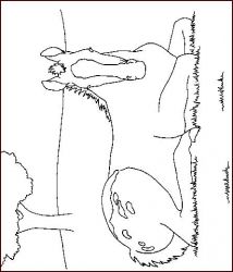 plansa de colorat animale #1