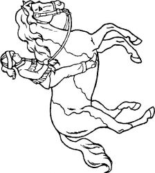 plansa de colorat animale #12