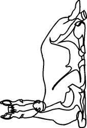 plansa de colorat animale #14