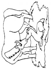 plansa de colorat animale #14