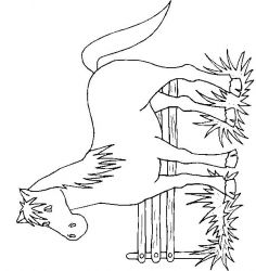 plansa de colorat animale #20