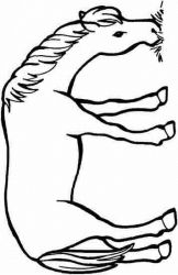 plansa de colorat animale #5